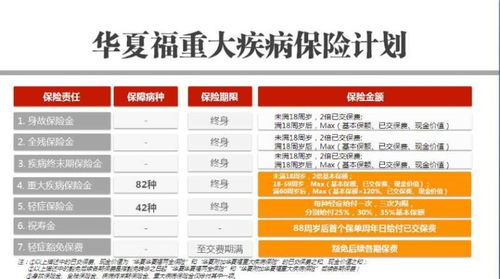 保險代理人的一日安排 從規劃到執行的代理代辦之路
