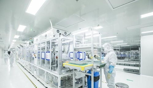 芯光燦爛 點亮黃石老工業(yè)基地高質(zhì)量發(fā)展轉(zhuǎn)型之路